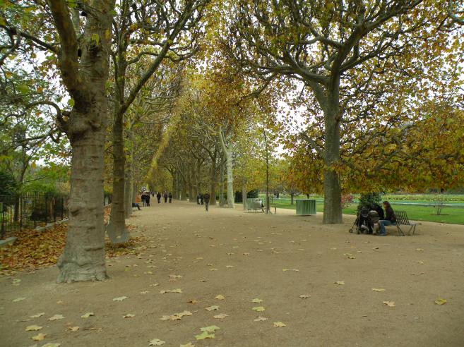  jardin des Plantes en novembre 2009