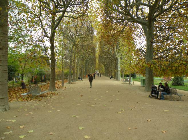  jardin des plantes, dimanche d'automne