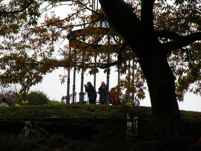  promontoire, jardin des Plantes
