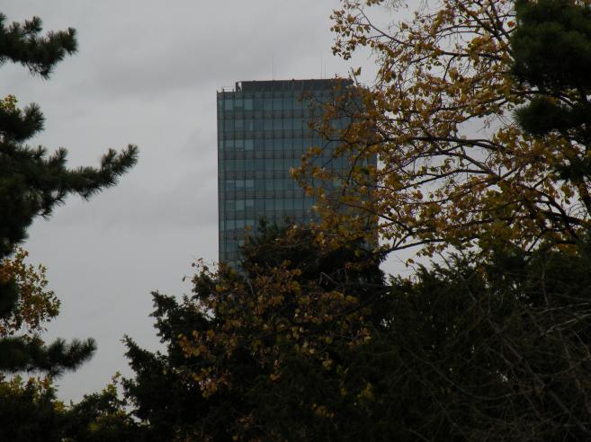  tour de Jussieu, vue depuis le jardin des Plantes