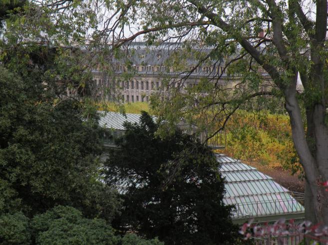  grande serre dans la verdure