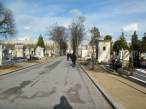  cimetire Montparnasse: alle principale