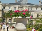  grande vasque avec des fleurs