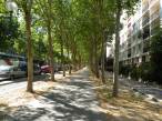 trottoir ombrag, bd Saint-Jacques, 14e
