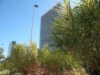  tours de la BNF, et verdure