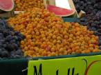  prunes et mirabelles