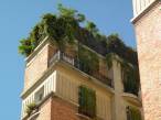  fentres et terrasses envahies par la verdure