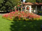  parterre fleuri