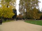  parc du Jardin des Plantes, couleurs d'automne