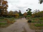  Ecole de botanique, jardin alpin