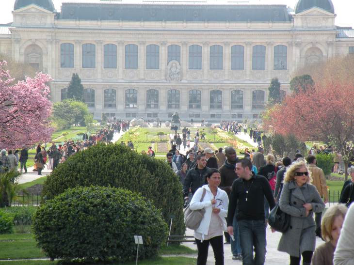  jardin des Plantes