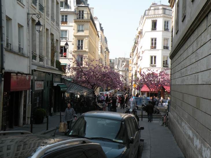  rue de l'ecole polytechnique
