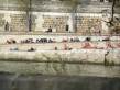  personnes prenant un bain de soleil sur les berges de la Seine