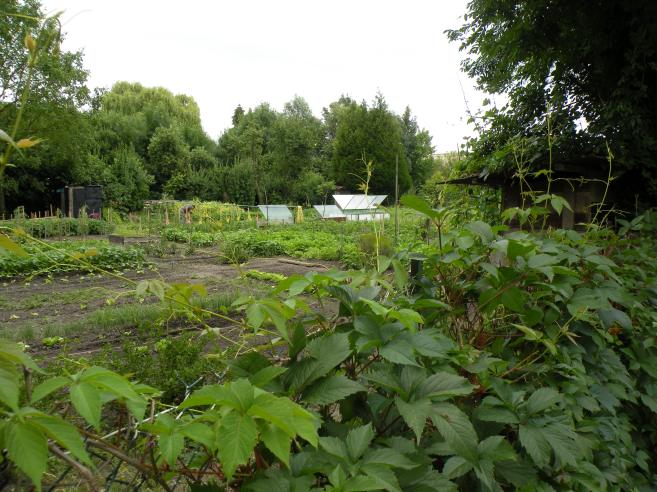  jardins potager, 10300
