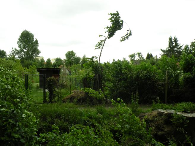  Bande de verdure dans Sainte-Savine