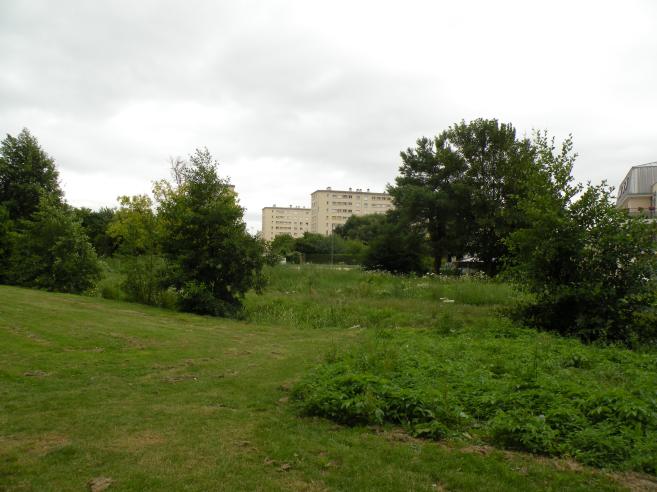  immeubles proches de la verdure