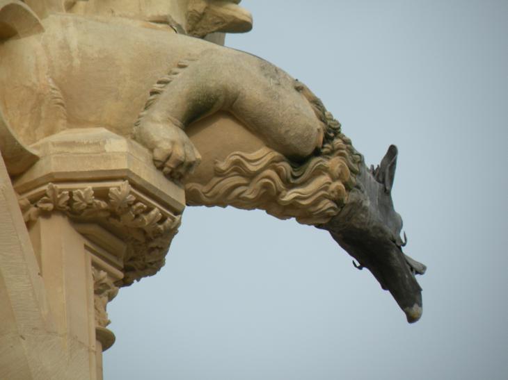  gargouille, cathdrale