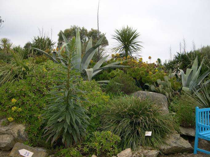  plantations du jardin exotique