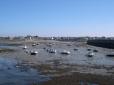  petits bateaux  mare basse